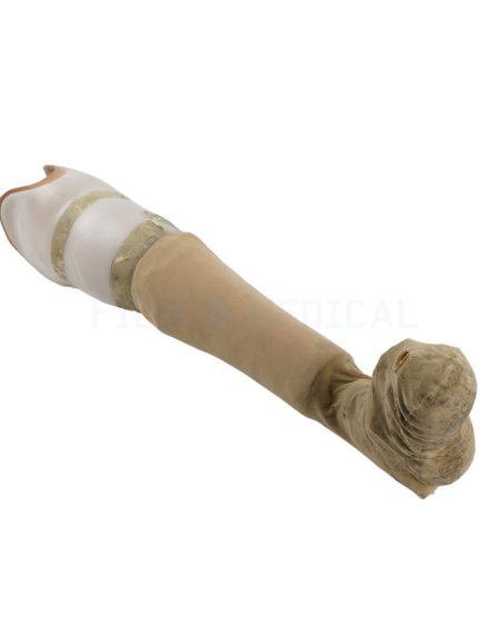  Prosthetic Leg  